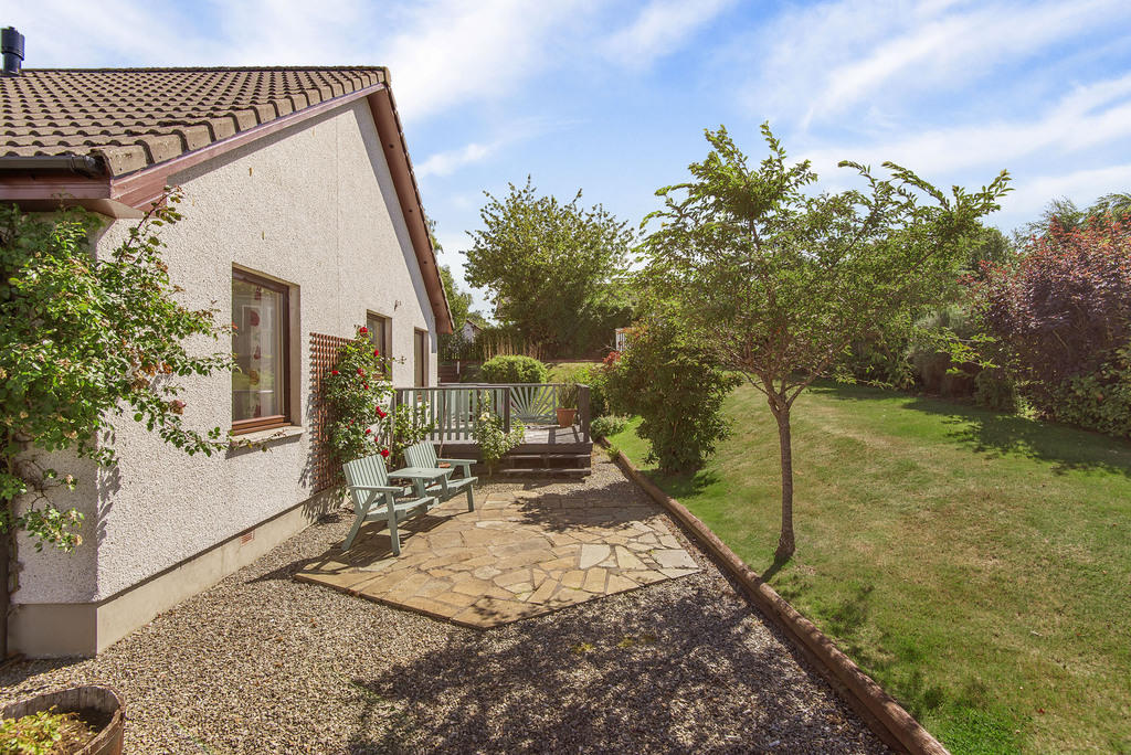 Back Garden