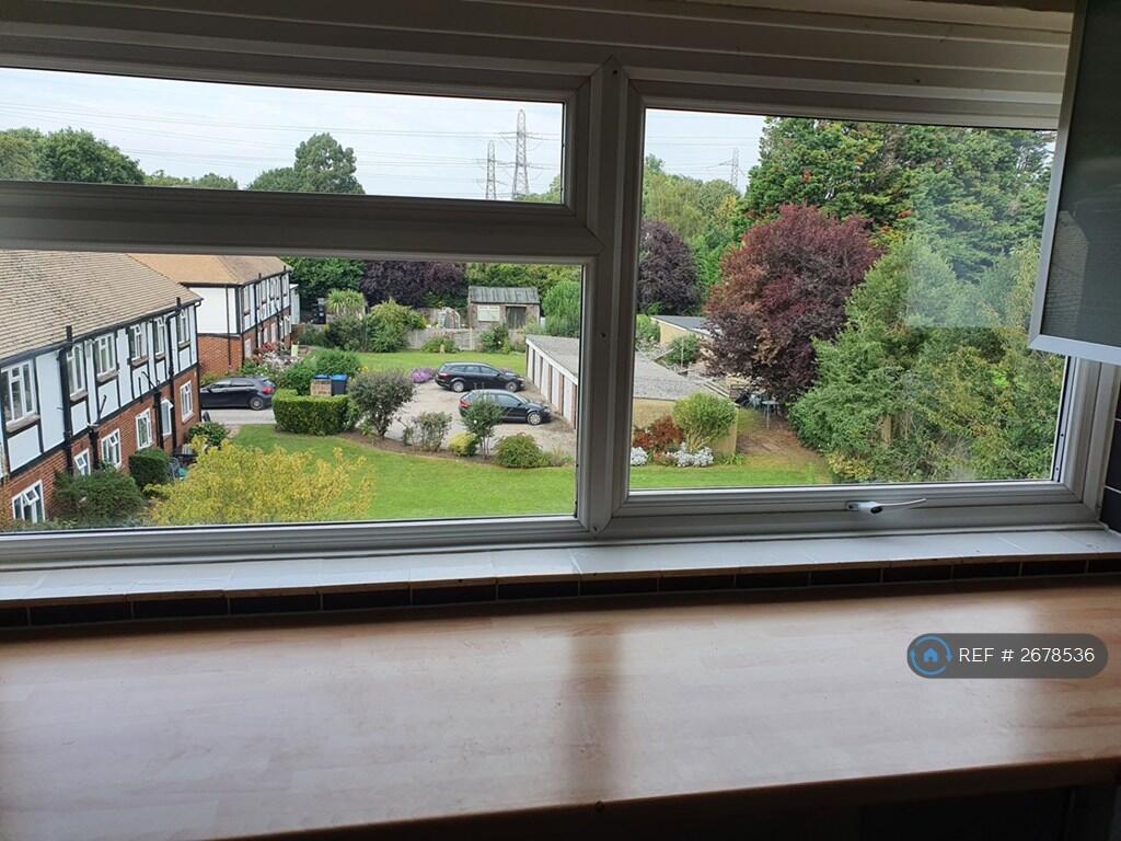 Colourful View From Kitchen