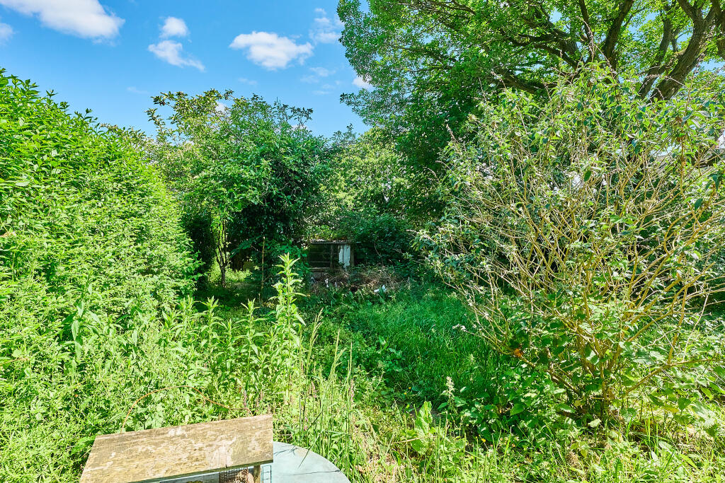 P1462898 T202506021859.jpg