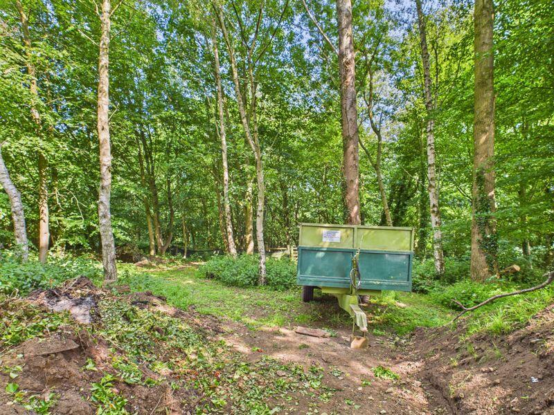 Woodland
