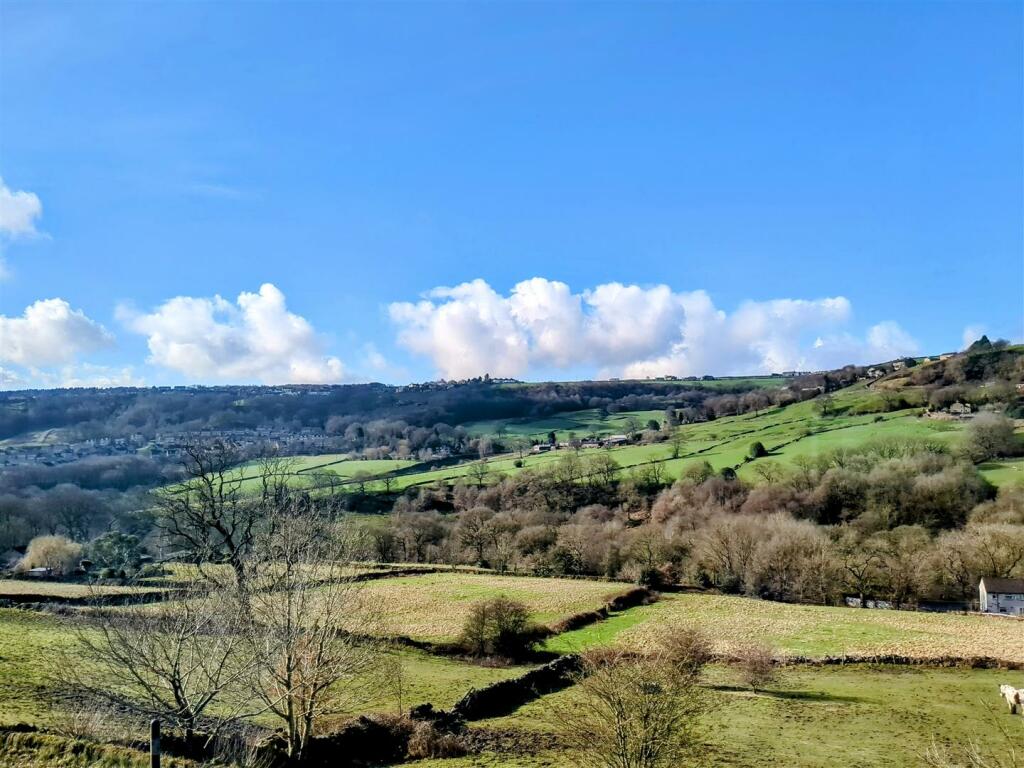 view.jpg