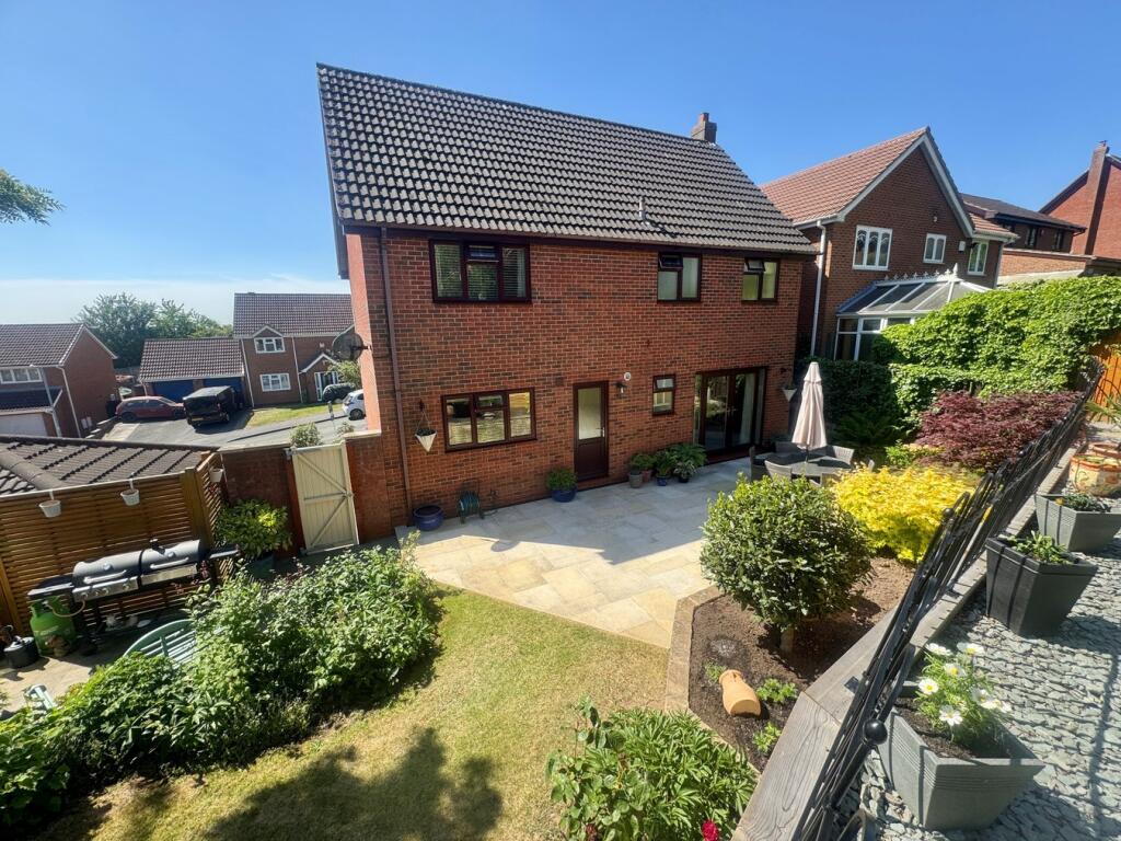 Rear Aspect