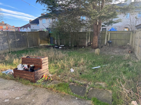 Garden T202511261624.png