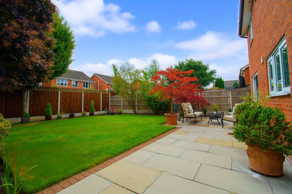 Untitled (5200 x 3900 px) (5200 x 3450 px) (6000 x