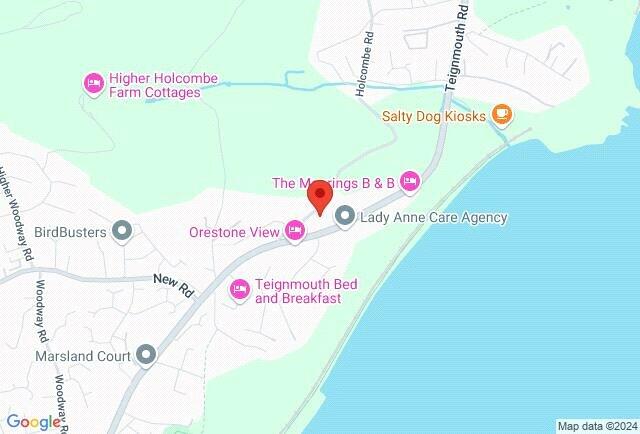 Google Maps Image
