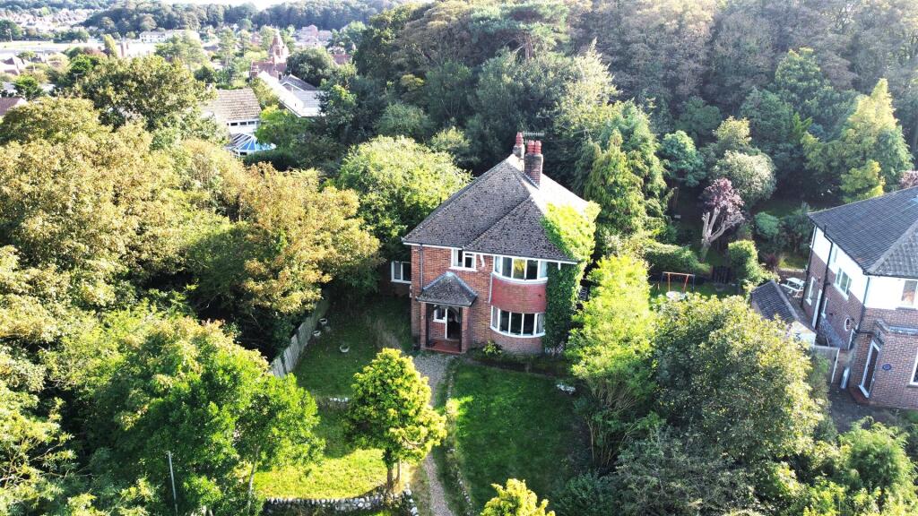 dji_fly_20230925_152952_470_1695652201449_photo_op