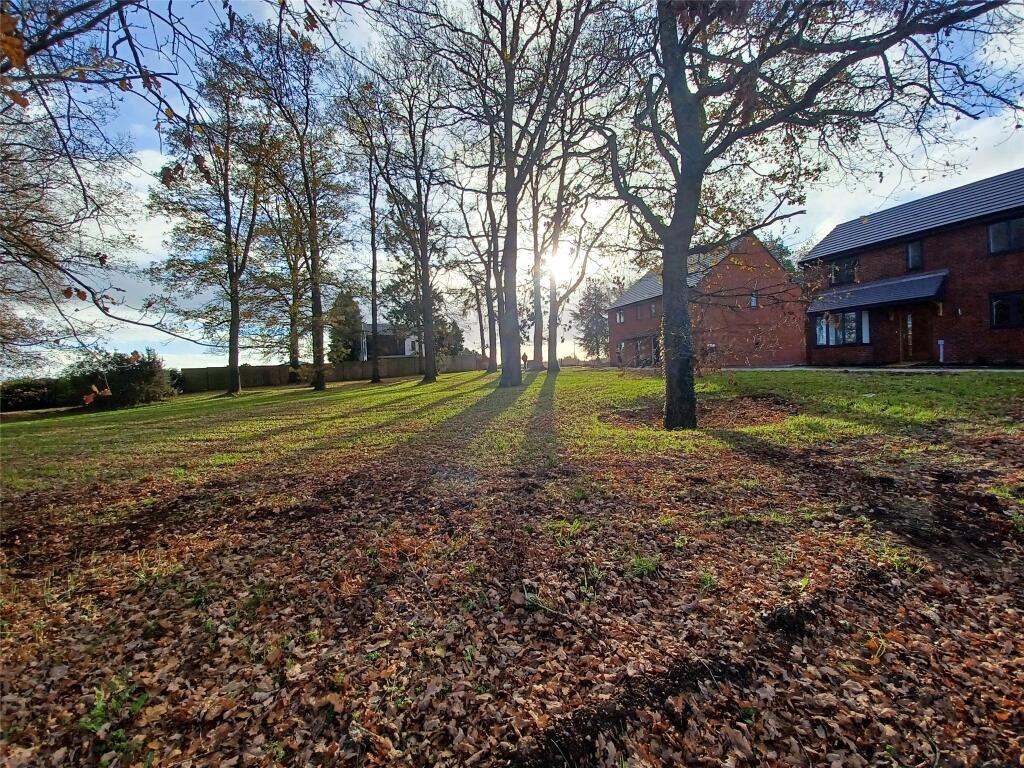 Hunters Copse