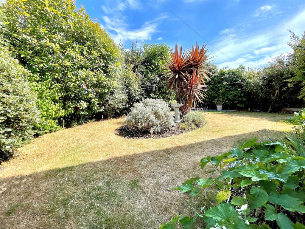 garden 2.jpg