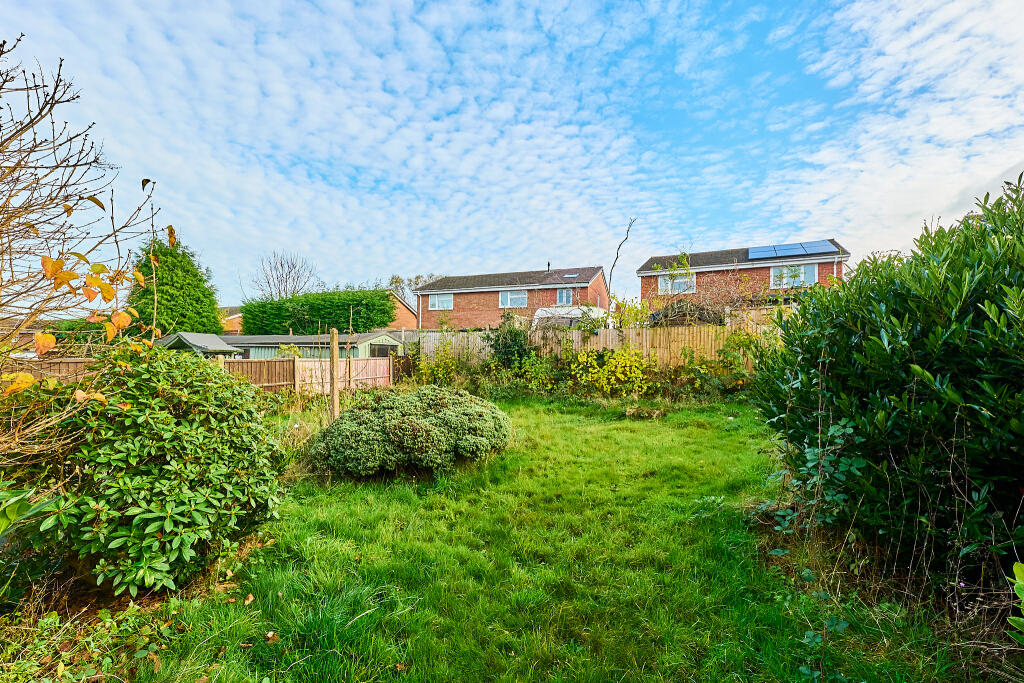 P1371442 T202411111834.jpg