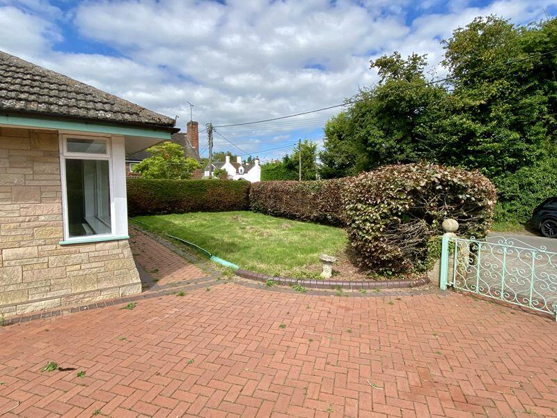 Front garden 