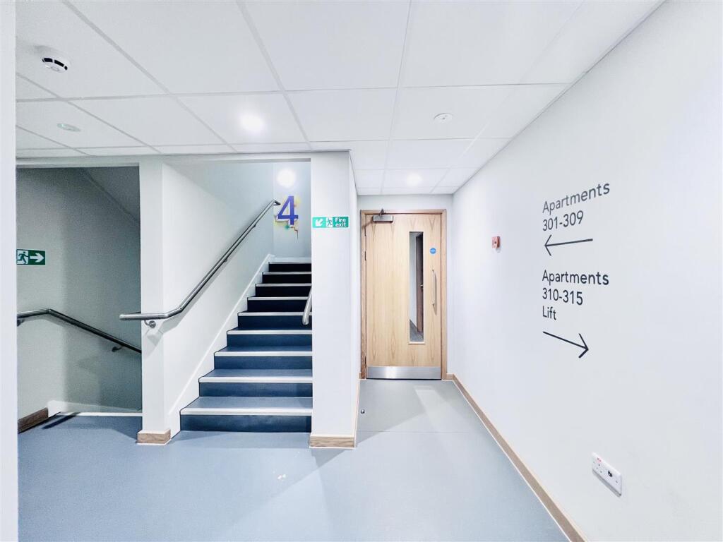 Communal Ground.jpeg