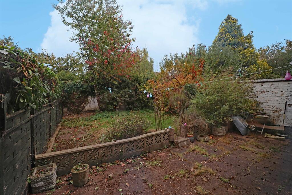 16 Vine garden 2.jpg