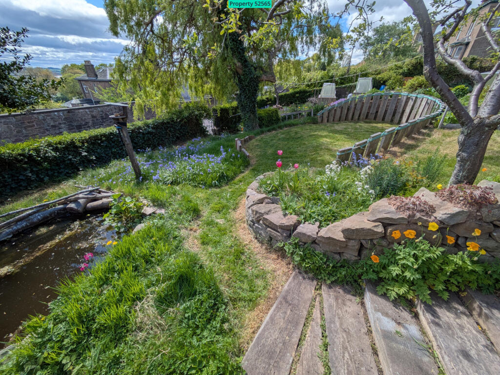 Garden &amp; pond south