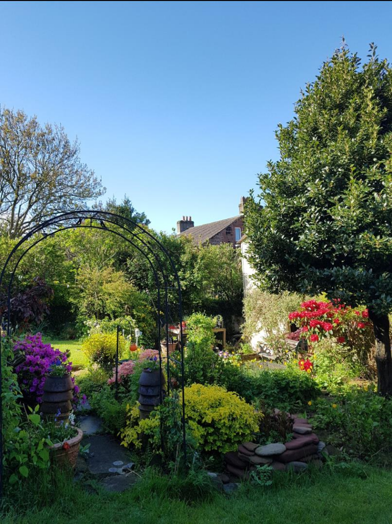 CURRENT OWNERS PHOTOS