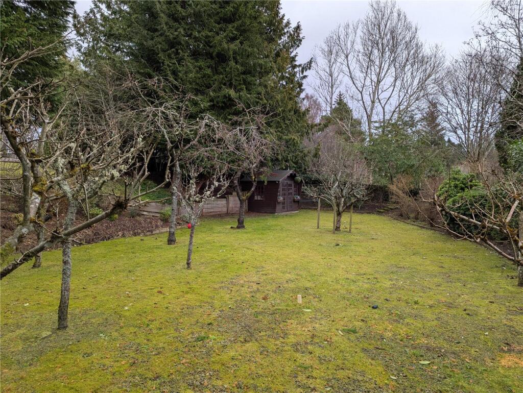 The Orchard Plot