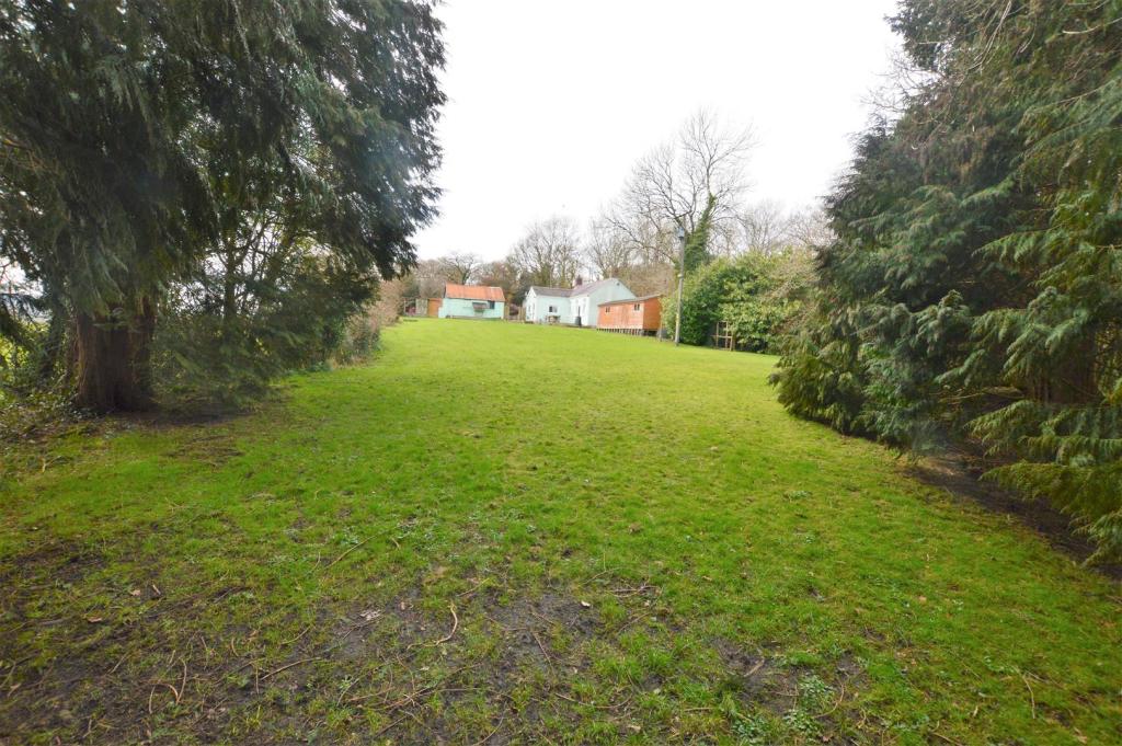 garden 3.jpg
