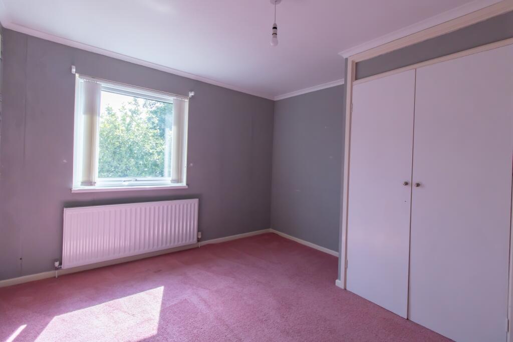 IMAGE 12