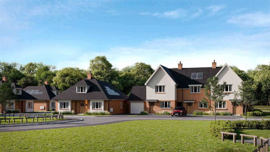 Street Sceen 6-8.jpg