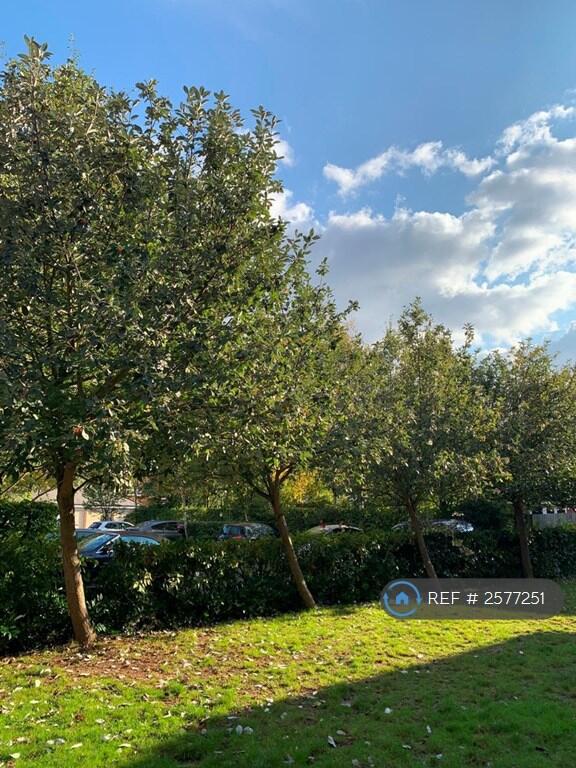 Entrance &amp; Car Park 