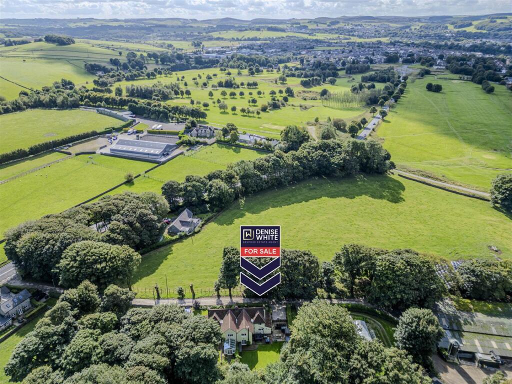 20240913-DJI_0781-Enhanced-SR - Copy.jpg