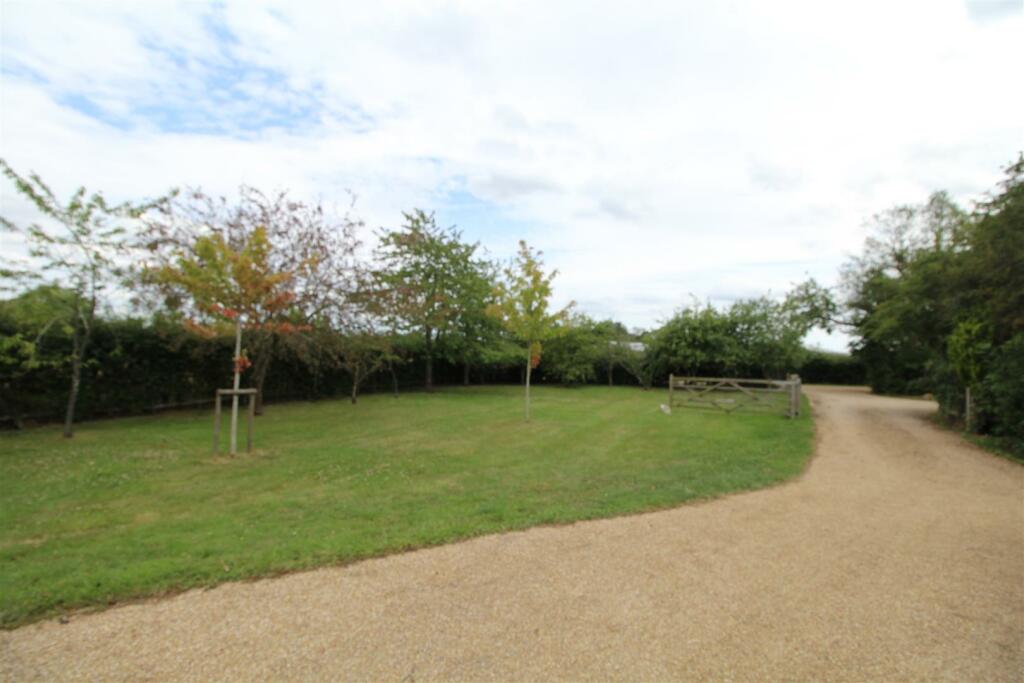 Front garden