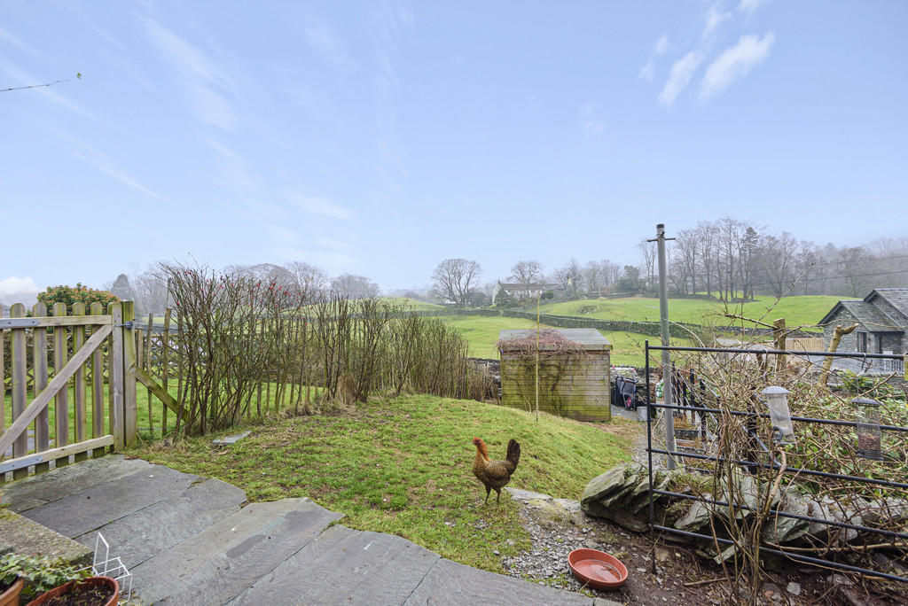 Garden and View