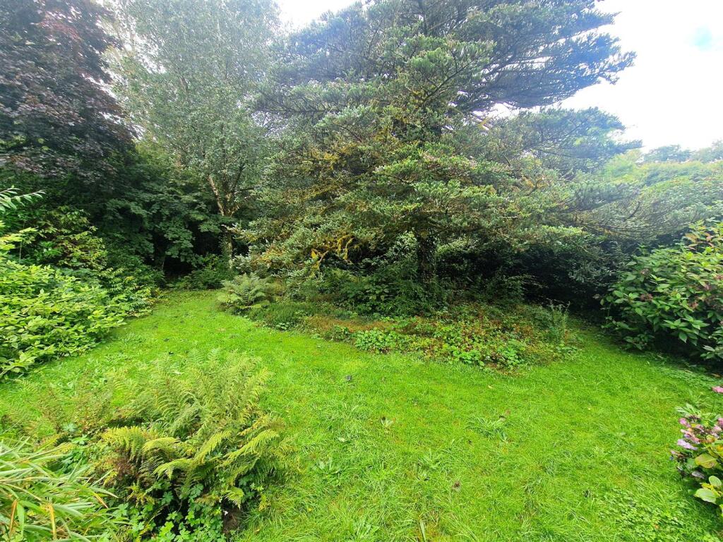 Rear gardens.jpg