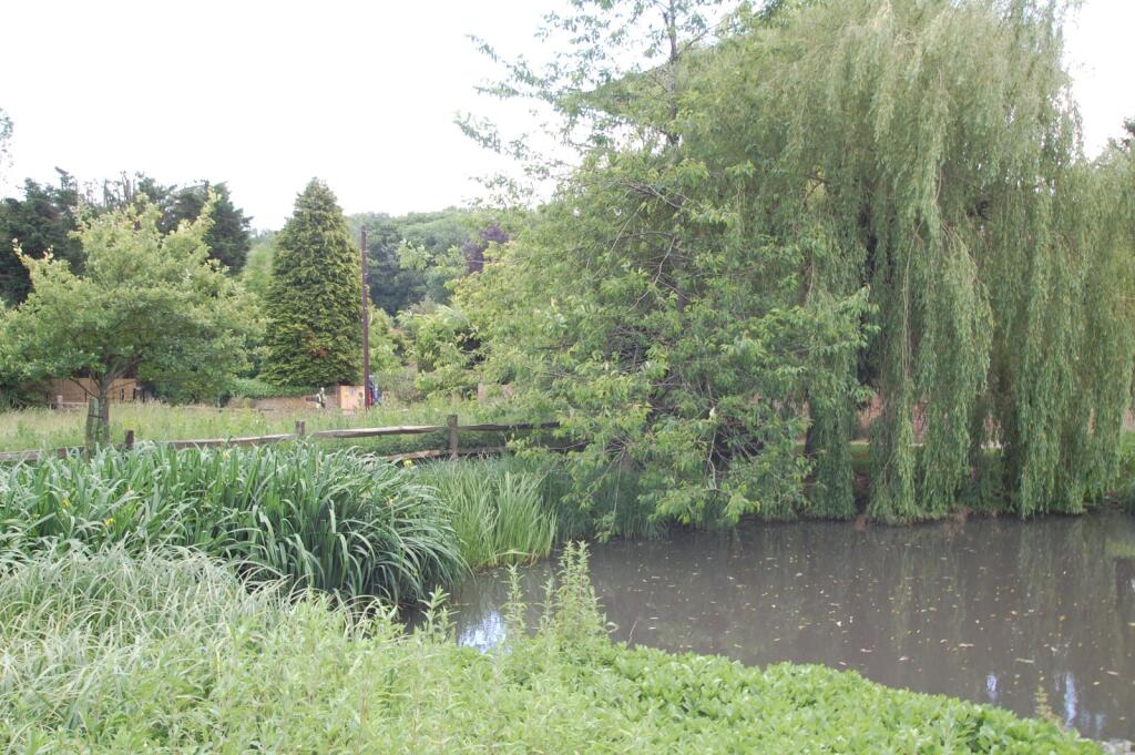 Village Pond