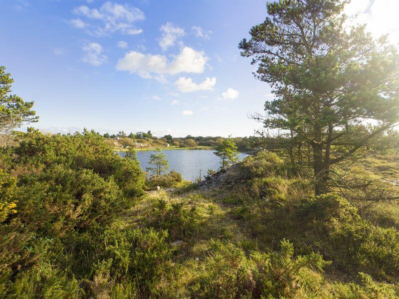 View of Land