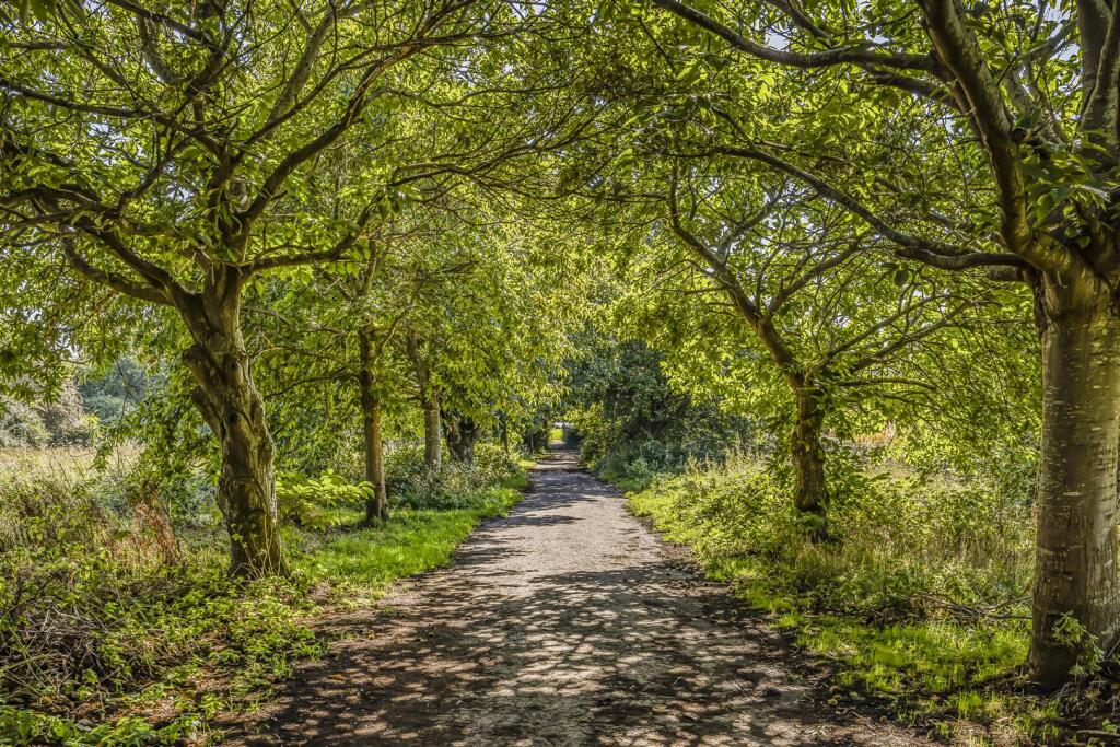 17 Kingfishers, Fareham-PorticoMarketing-SoldBy-36