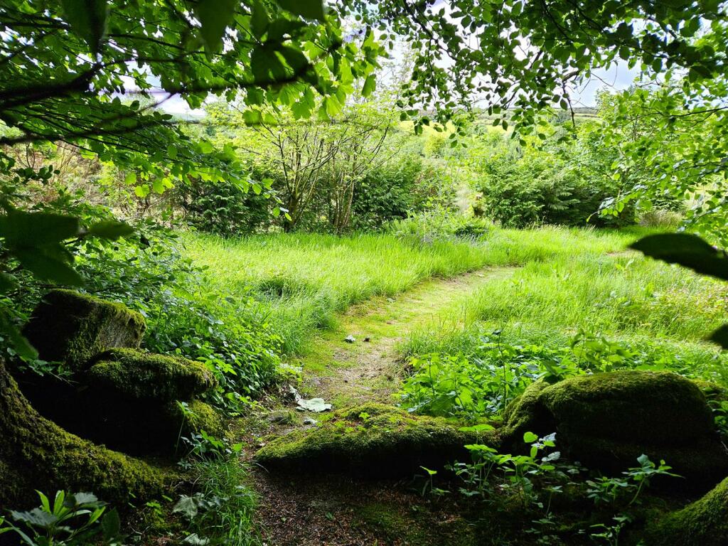Garden Path.jpg