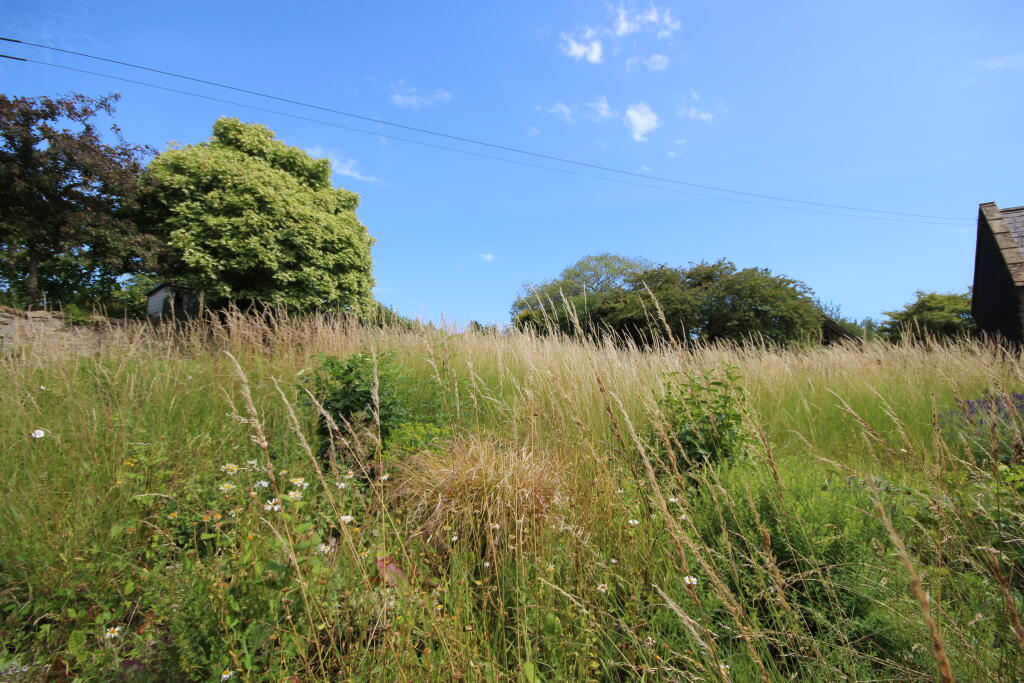 GARDEN 1 T202507081100.jpg