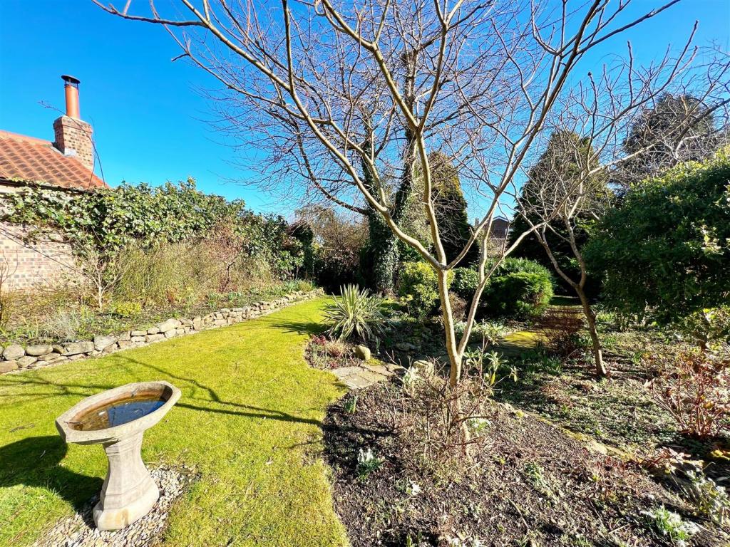Garden 5.jpg