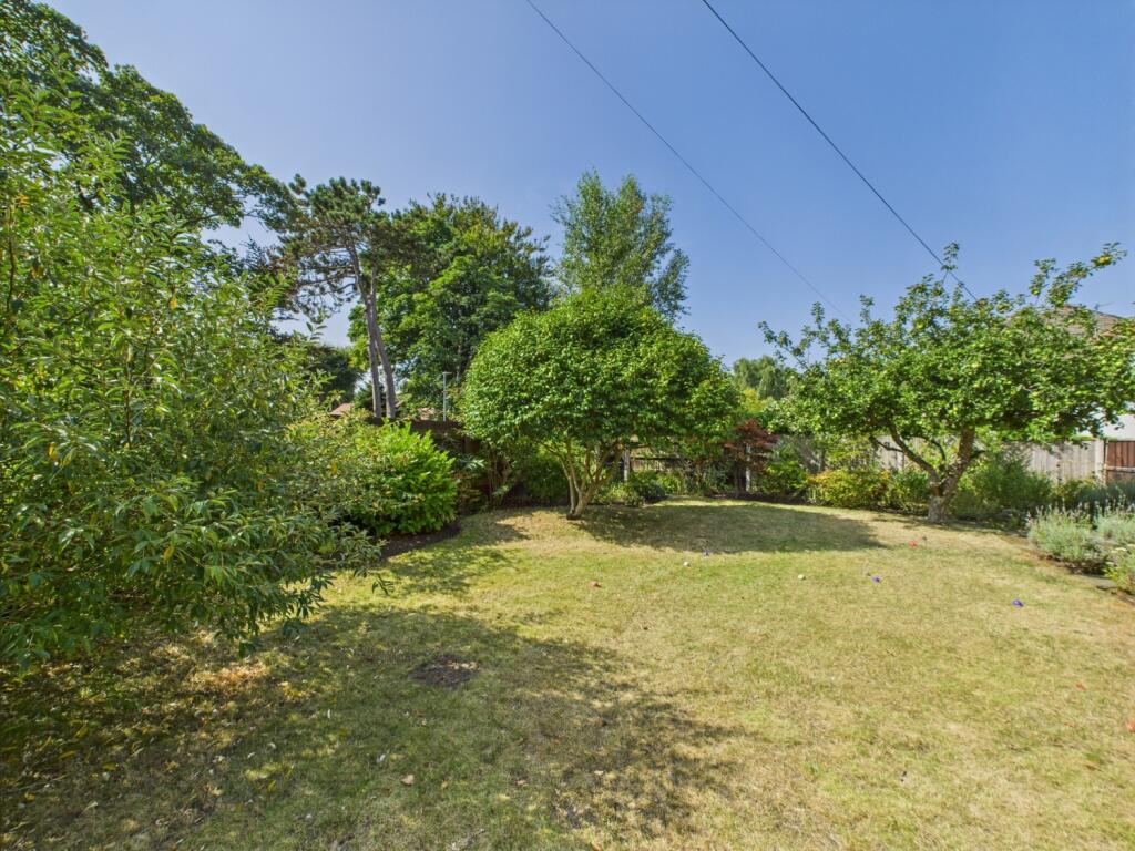 CAM02386G0-PR0141-STILL006