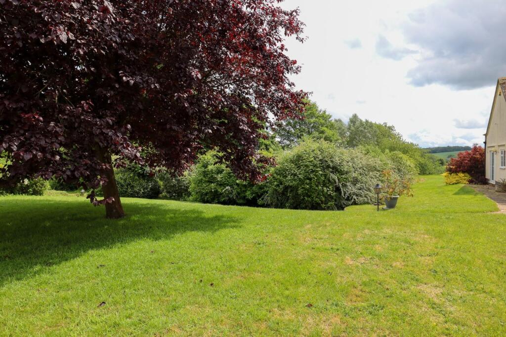 View from patio.jpg