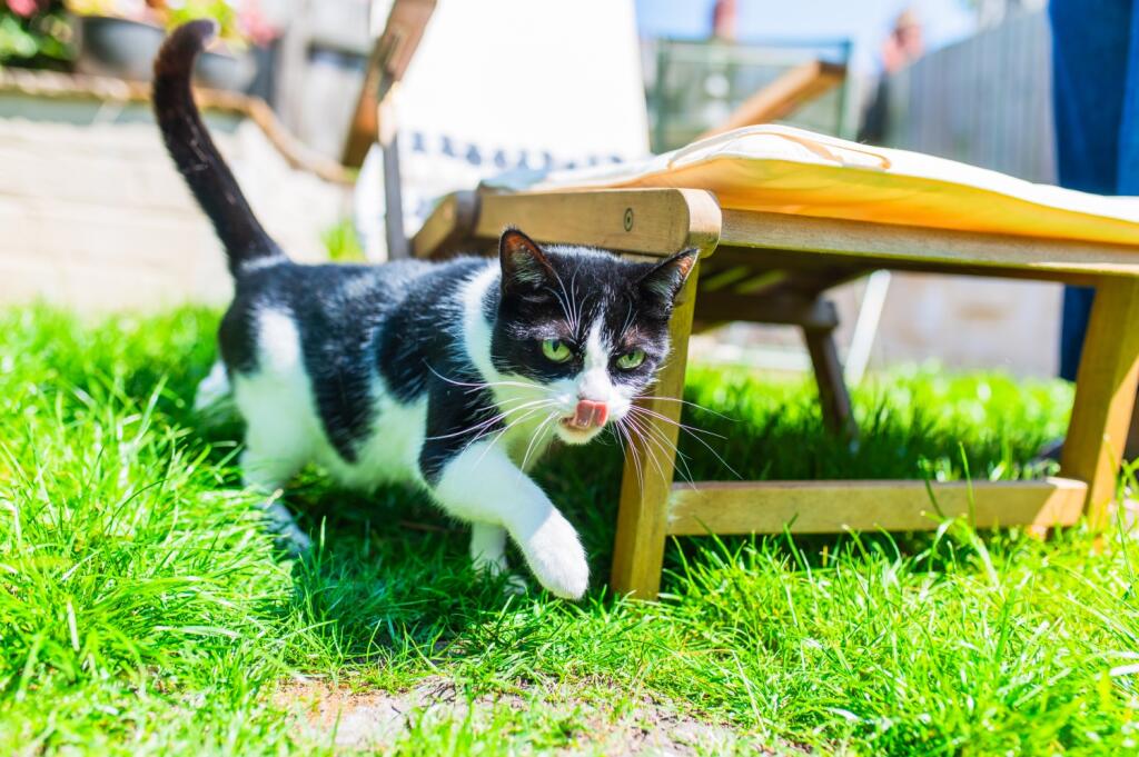 Award-winning Media team on EVERY Listing_14