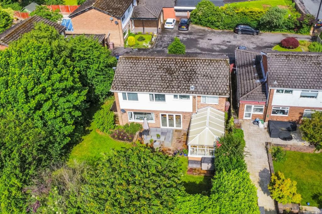 dji_fly_20240605_100530_847_1717578461911_photo_op