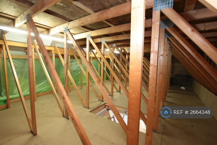 Boarded &amp; Lighted Attic