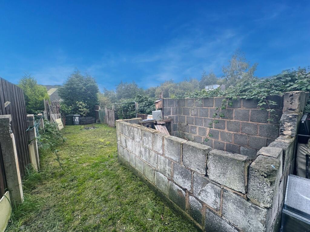Garden Blue T202411210801.jpg