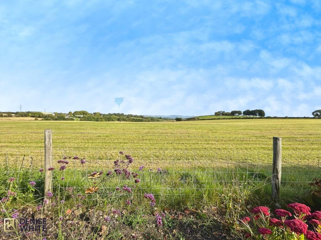 Denise White Estate Agents Comments