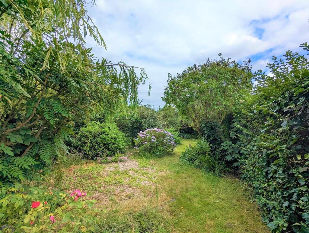 359723936_249422244568554_5362066137853980641_n.jp