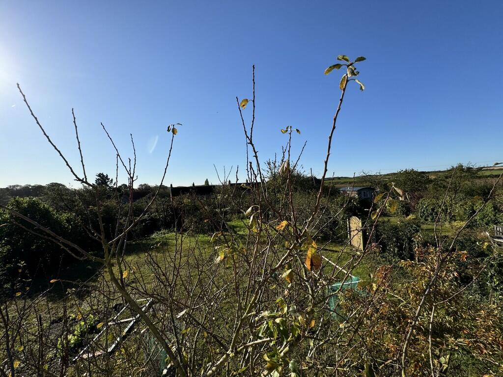 image-20241011-09...