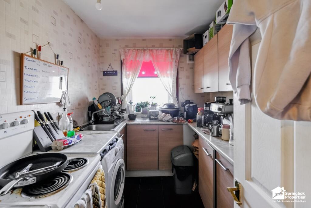 IMAGE 3