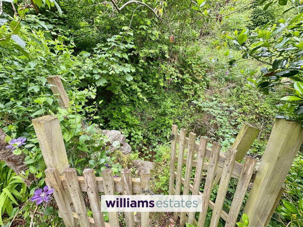 Stream at rear of garden