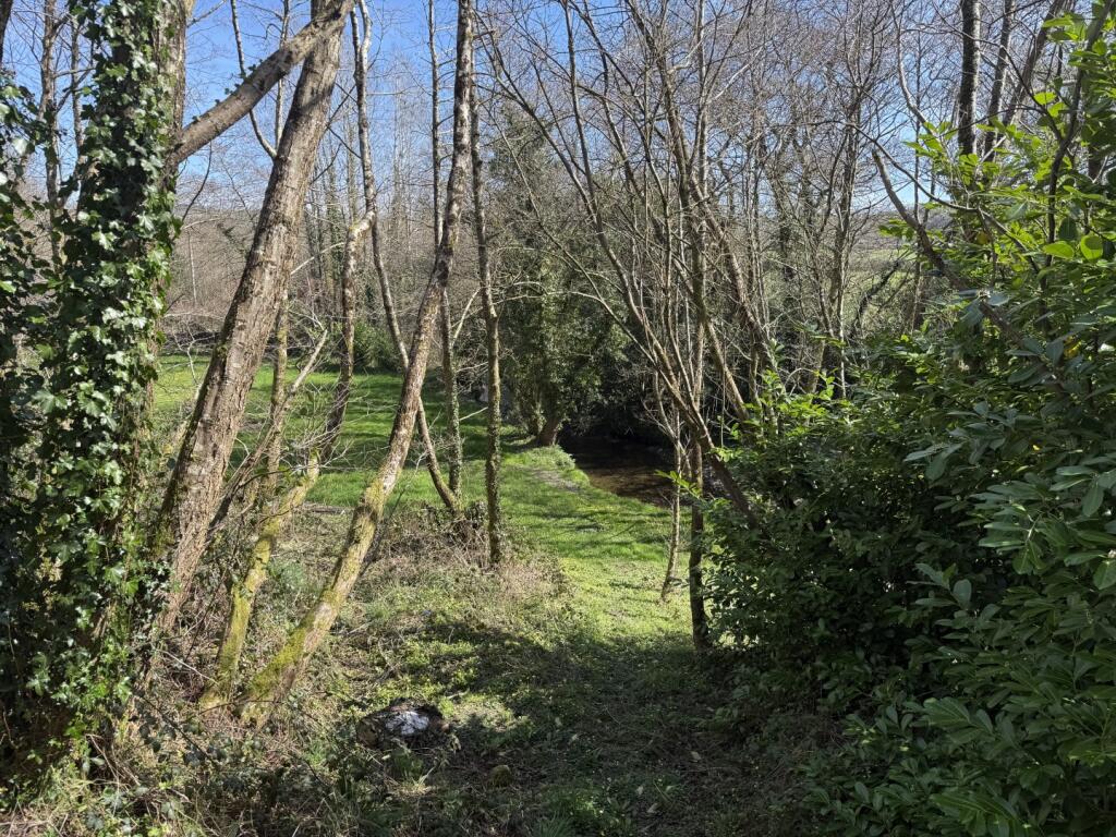 IMG 5373  Large  T202505021202.jpeg