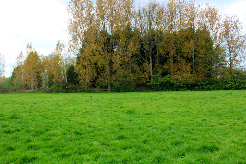 InShot_20250415_195943417