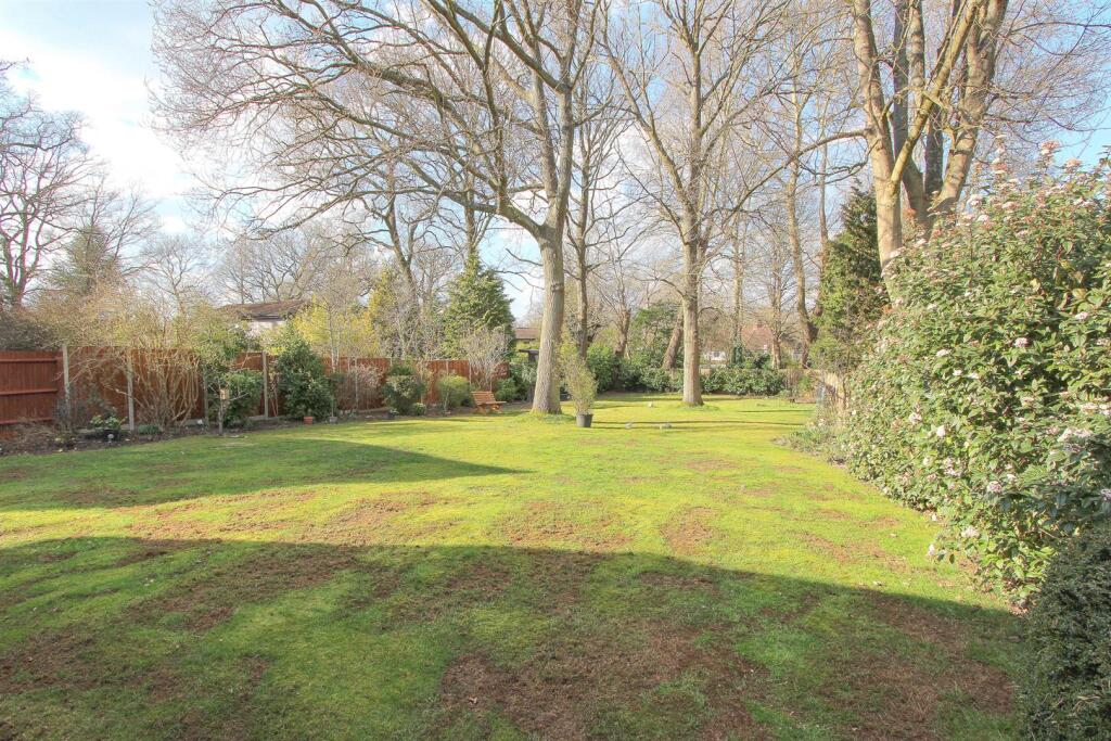 garden.jpg