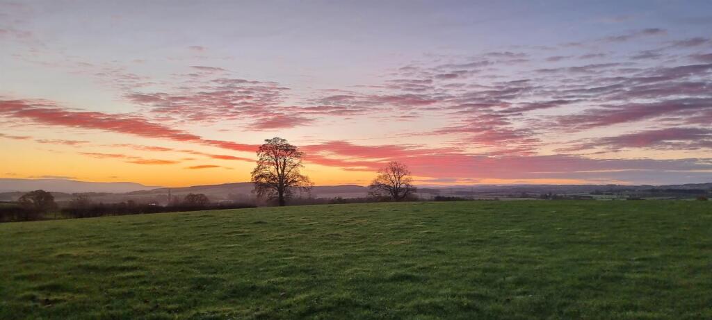 Cold Springs Community Nature Reserve