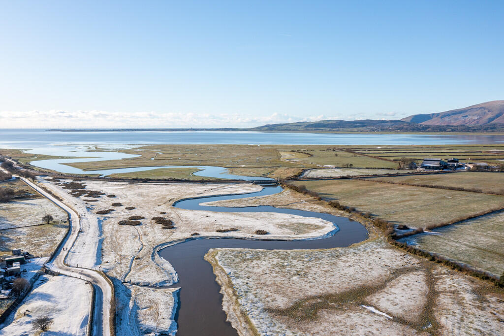 Views of Estuary 