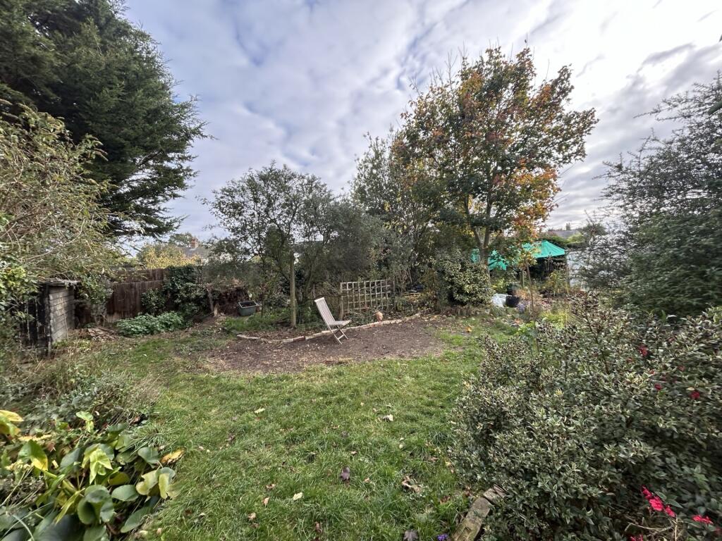 Garden 3